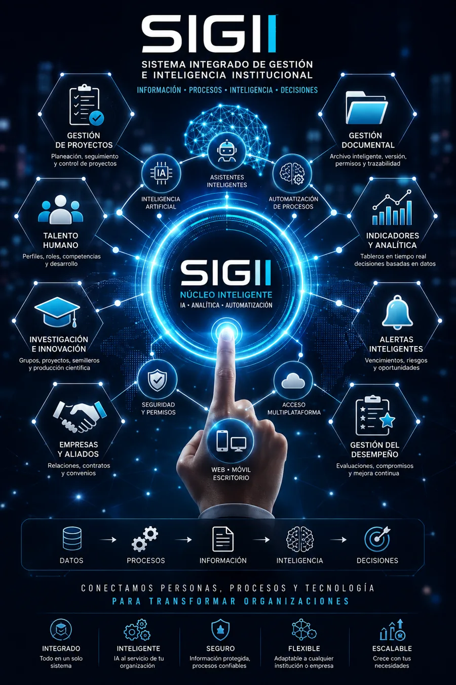 Representación visual del ecosistema SIGII